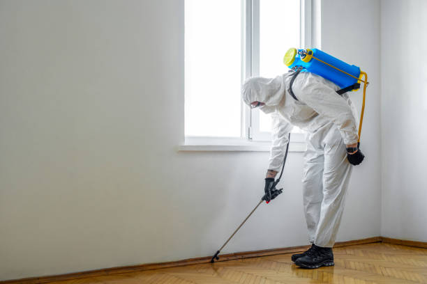 Best Indoor Pest Control  in Swepsonville, NC